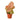 Syngonium Strawberry