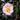 April Blush Camellia