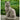 Cheeky Statue