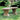 Curved West Chester Bench