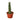 Snake Plant Braided