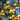 Shinseiki Asian Pear Tree