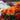 Fall Mums