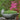 Aurielle Planter