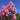 Rhapsody In Pink Crape Myrtle