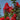 Colorama Scarlet Crape Myrtle