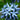 Blue Star Amsonia