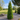 Leprechaun Arborvitae
