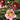 Hellebore