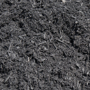Black Night Mulch