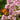 Joe Pye Weed