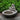 Zen Element Bird Bath