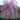 Double Weeping Flowering Cherry