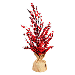 Red Berry Tree in Pot