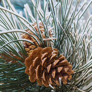 Snowy Pine Cone Tree